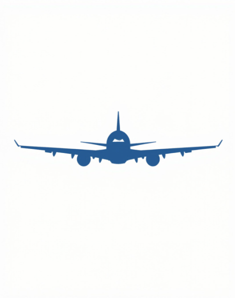 ¿Tu carga necesita volar o solo una solución rápida?